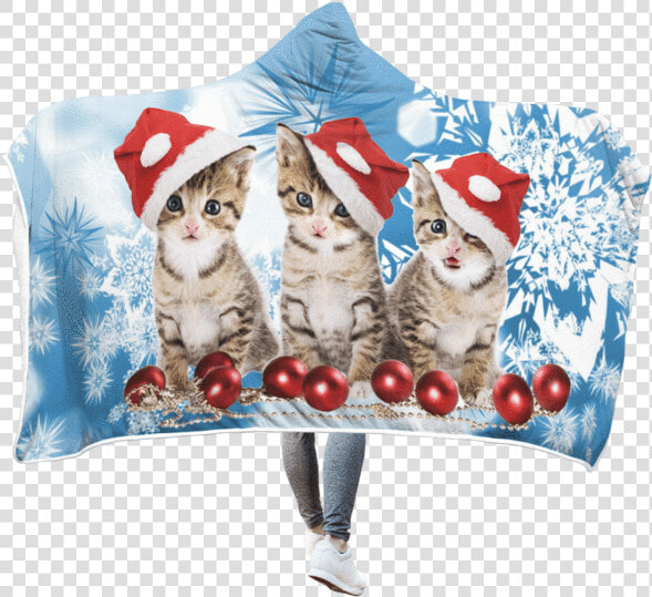 Transparent Christmas Cat Png   National Pet Adoption Weekend November 2019  Png DownloadTransparent PNG