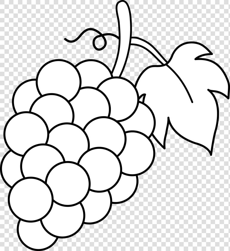 5   Senses   Clipart   Black   And   White   Clipart Black And White Grapes  HD Png DownloadTransparent PNG