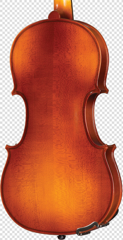 Viola  HD Png DownloadTransparent PNG