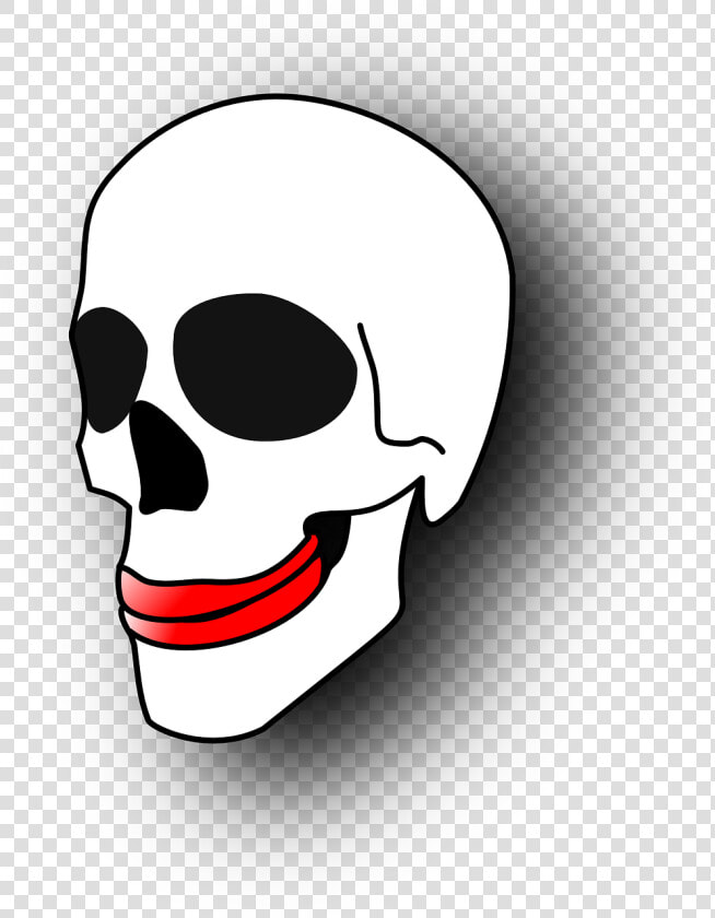 Skull Gums Skeleton Free Photo   Skull Clipart  HD Png DownloadTransparent PNG