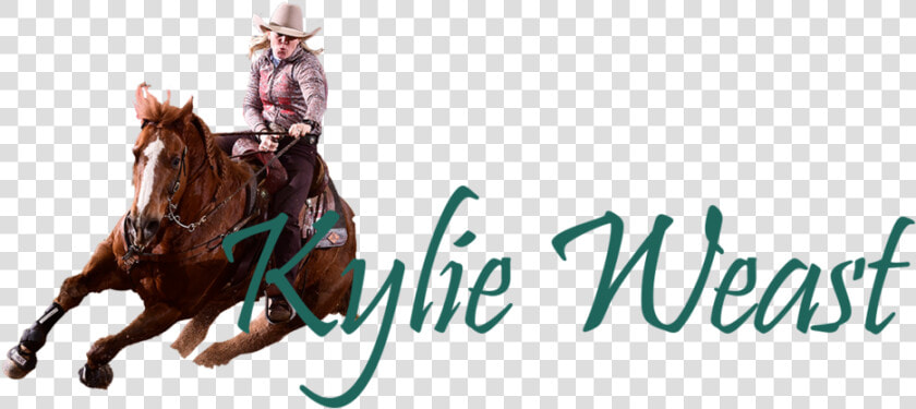 Kylie Logo Smaller3   Equitation  HD Png DownloadTransparent PNG