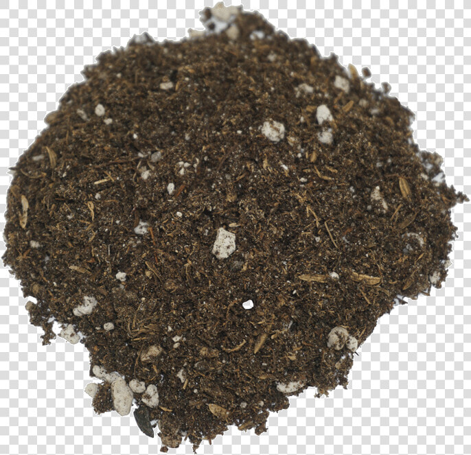 Seedling Soil Class Lazyload Lazyload Fade In Cloudzoom   Rolling Tobacco  HD Png DownloadTransparent PNG