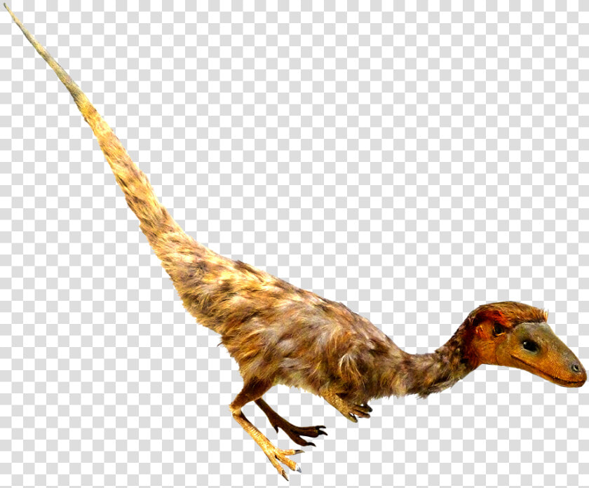 Psinosauropteryx Feathered Dino Clipart   Real Dinosaur Transparent Clipart  HD Png DownloadTransparent PNG