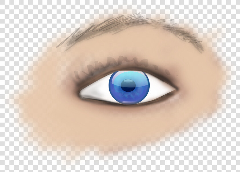 Blue iris close Up   Part Of Eye Is Donated  HD Png DownloadTransparent PNG