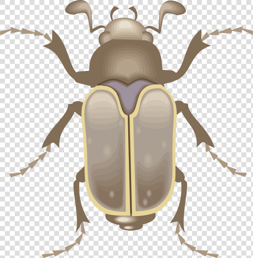 Metamorphosis Gregor Clipart  HD Png DownloadTransparent PNG