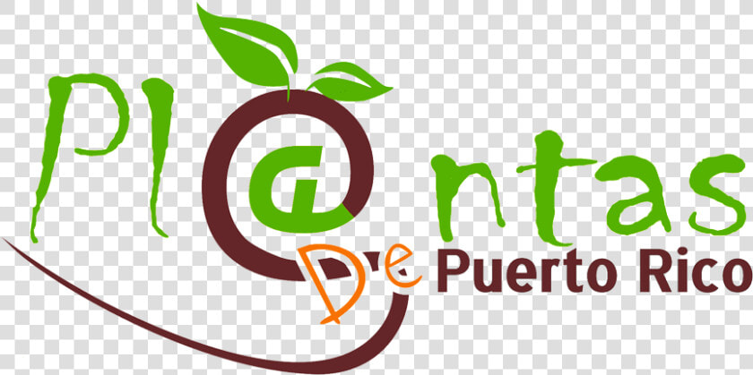 Plantas De Sol En Puerto Rico  HD Png DownloadTransparent PNG