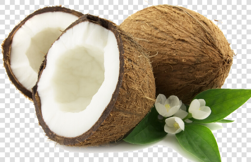 Coconut Png Png Image   Coconut Png  Transparent PngTransparent PNG