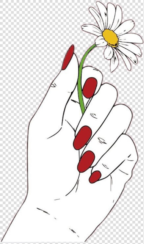  daisy  flower  red  hand  nails  white  draw  tumblr   Hand Holding Flower Drawing  HD Png DownloadTransparent PNG