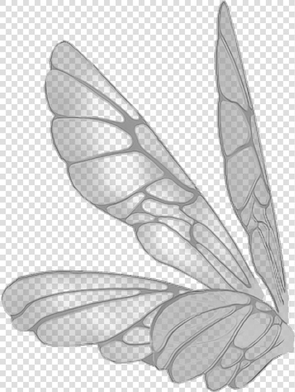 Wings Butterflywings Butterfly Fairy Fairywings   Pink Realistic Fairy Wings Png  Transparent PngTransparent PNG