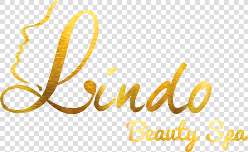 Lindo Beauty Salon And Spa   Png Of Beauty Parlour Golden Logos  Transparent PngTransparent PNG