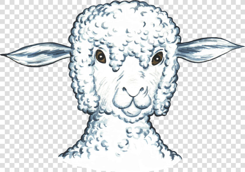 Transparent Sheep Head Png   Sheep  Png DownloadTransparent PNG