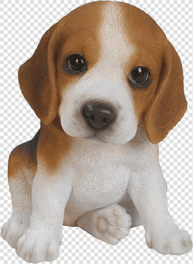 Pet Pals Beagle Puppy Resin Garden Ornament   Moving Pics Of Animals  HD Png DownloadTransparent PNG