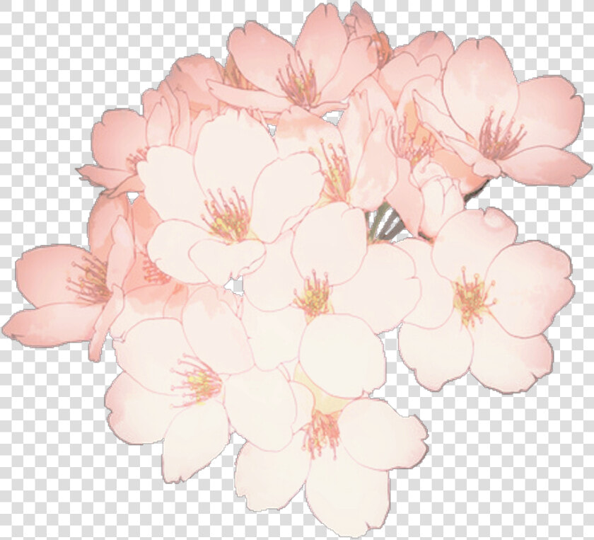 Anime Flowers Flower Aesthetic Tumblr Kpop Transparent   Flower Drawing  HD Png DownloadTransparent PNG