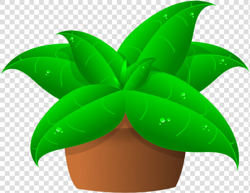 Vector Drawing Of Large Green Leaves Plant In Pot   Clip Art For Plants  HD Png DownloadTransparent PNG