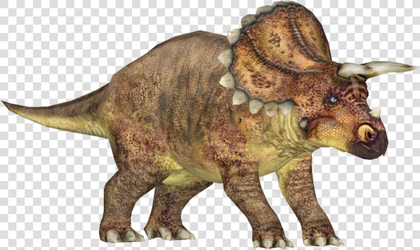 Triceratops  HD Png DownloadTransparent PNG