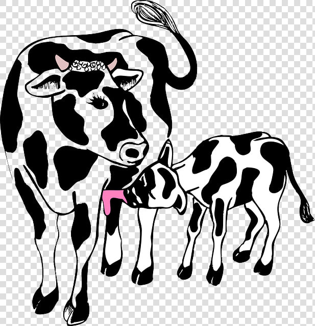 Farm Animals Clipart Calf   Cow With Calf Clipart  HD Png DownloadTransparent PNG