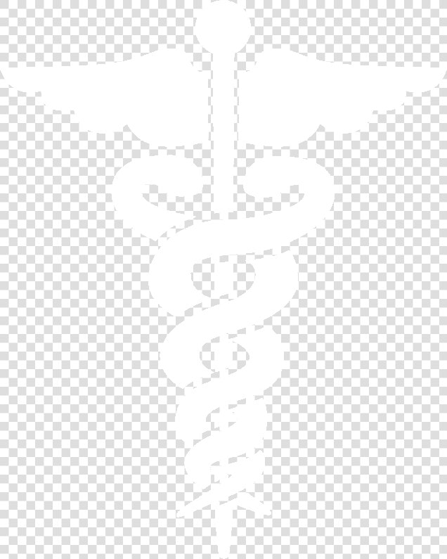 Transparent Medical Caduceus Png   Universal Health Care Png  Png DownloadTransparent PNG