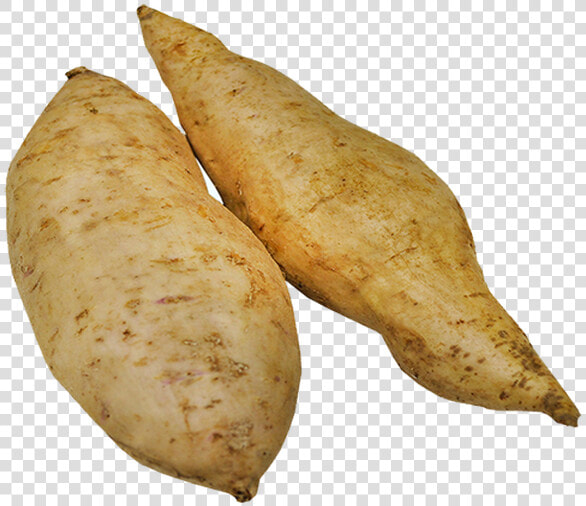 Tuber  HD Png DownloadTransparent PNG