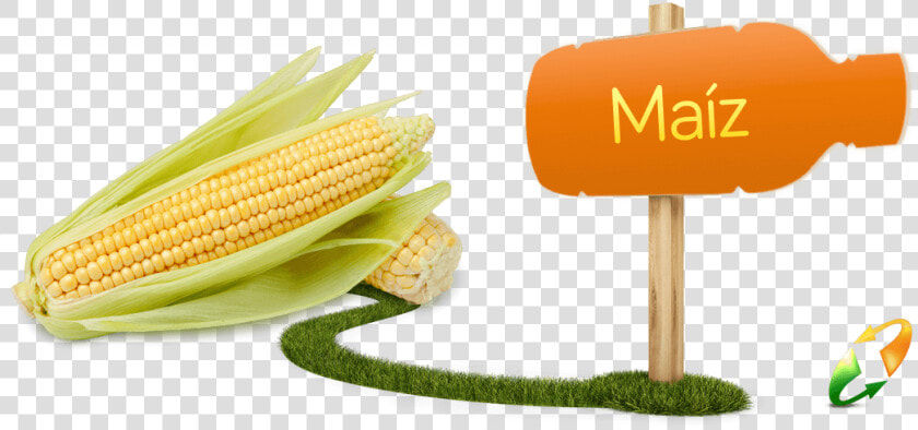 Maiz Elote  HD Png DownloadTransparent PNG