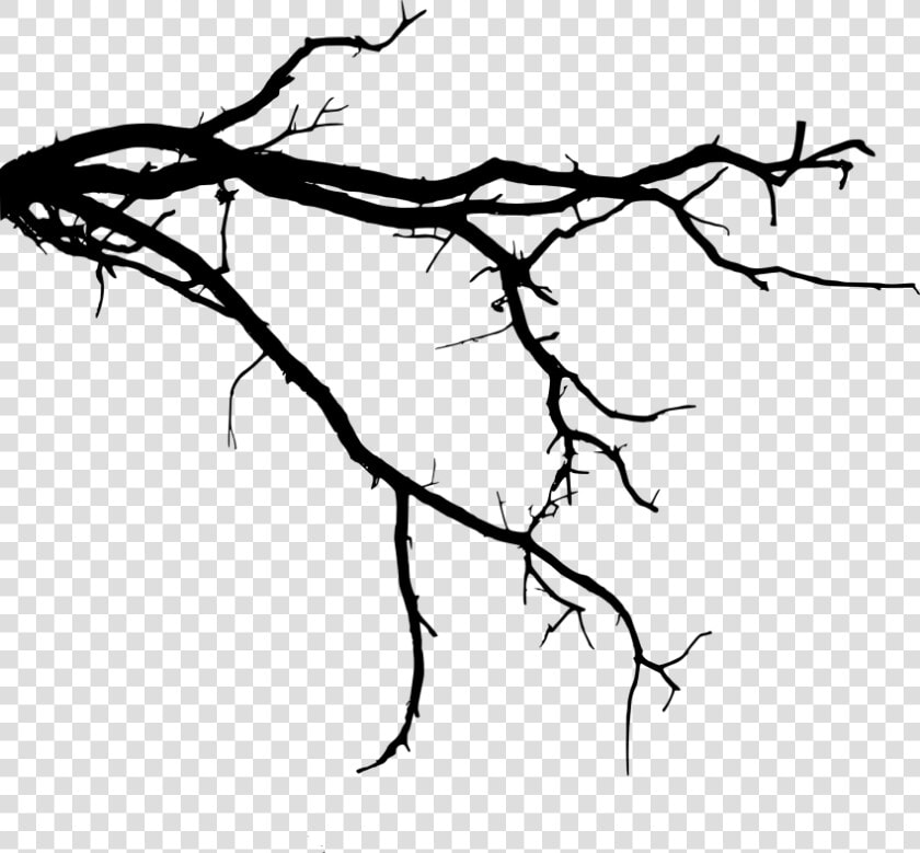 Free Png Tree Branch Png Images Transparent   Tree Branch Silhouette Png  Png DownloadTransparent PNG