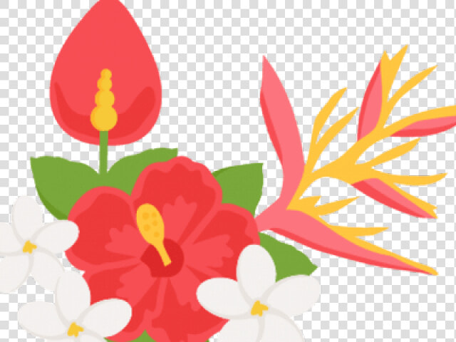 Transparent Tropical Flower Png   Tropical Flower Clipart  Png DownloadTransparent PNG