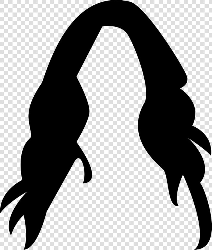 Female Long Dark Hair Wig   Transparent Wig Icon  HD Png DownloadTransparent PNG