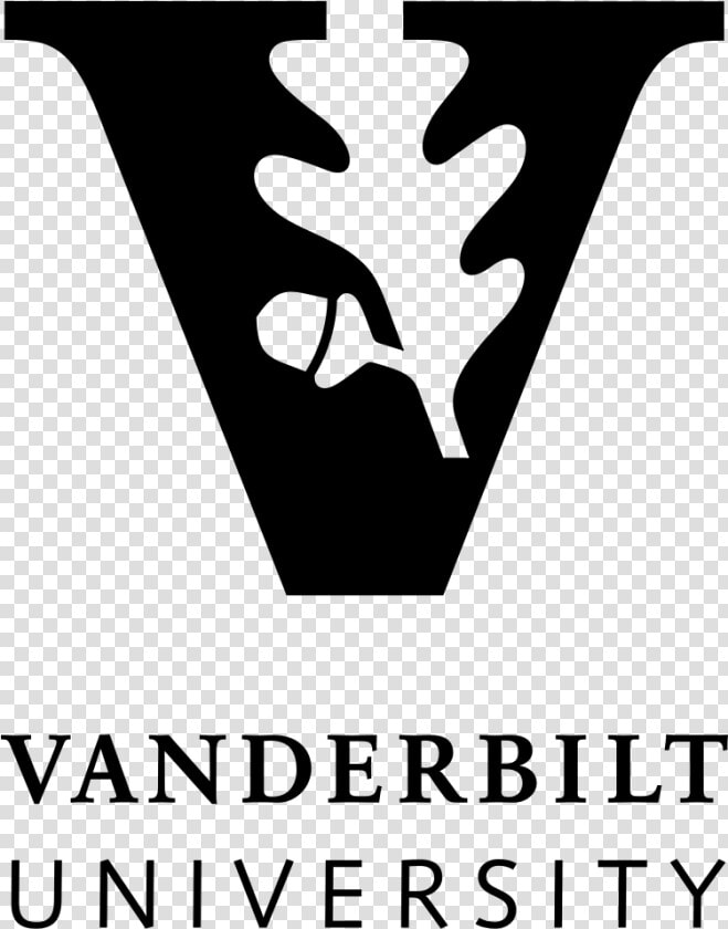 Vanderbilt University Logo   Official Vanderbilt University Logo  HD Png DownloadTransparent PNG