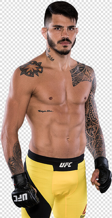 Silva Official Ufc® Fighter Profile   Barechested  HD Png DownloadTransparent PNG