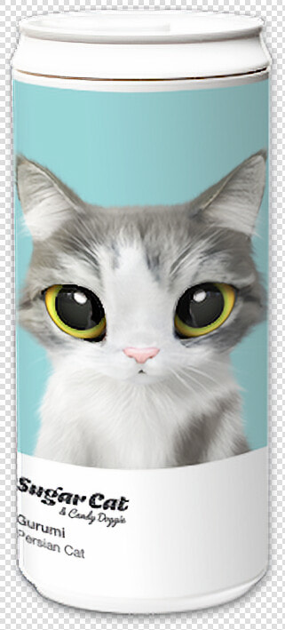 American Wirehair  HD Png DownloadTransparent PNG