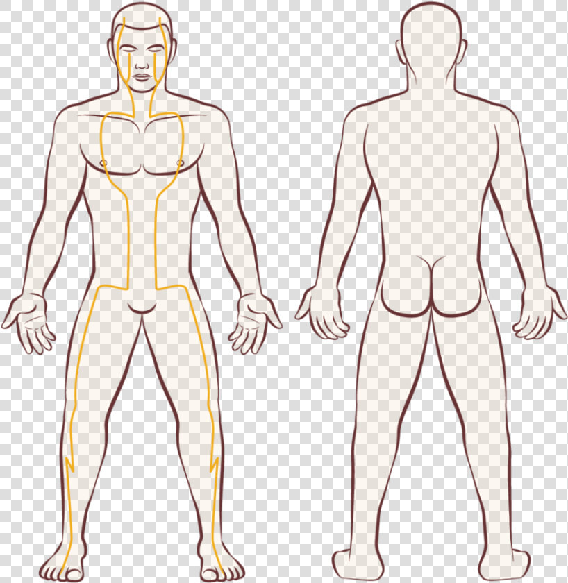 Barechested  HD Png DownloadTransparent PNG