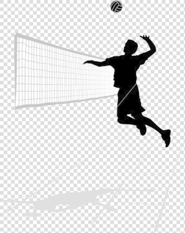 Volleyball Png Transparent Image   Volley Ball  Png DownloadTransparent PNG