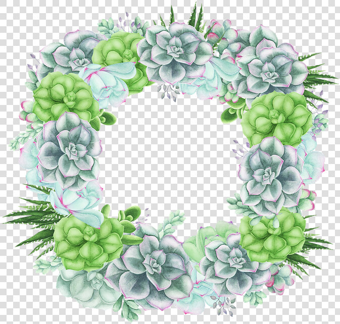 Succulent Rectangular  Cactus  Cacti  Floral  Plant   Hydrangea  HD Png DownloadTransparent PNG