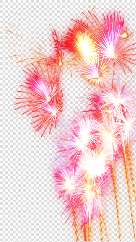 Festival Fireworks Pyrotechnics Free Transparent Image  HD Png DownloadTransparent PNG