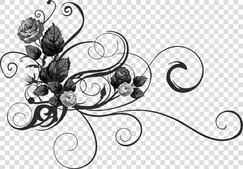 Изображение Для Плейкаста   White Flower Flourish  HD Png DownloadTransparent PNG