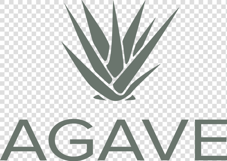 Transparent Agave Png   The James At Sugarloaf By Cortland  Png DownloadTransparent PNG