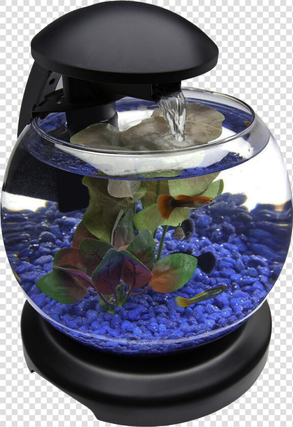 Glob Aquarium Fish Tank Png Transparent Image   Transparent Aquarium Tank Png  Png DownloadTransparent PNG