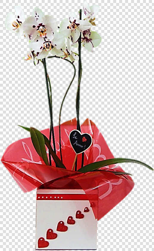 Transparent Orquideas Png   Phalaenopsis Sanderiana  Png DownloadTransparent PNG