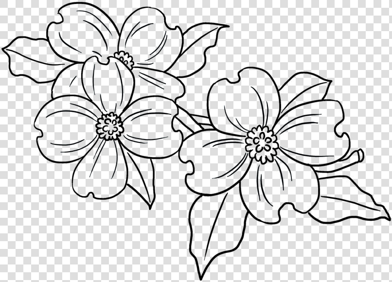 Easy Dogwood Flower Drawing  HD Png DownloadTransparent PNG