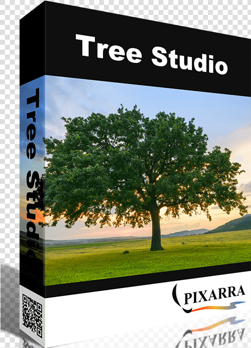 Tree Studio   Twistedbrush Tree Studio  HD Png DownloadTransparent PNG