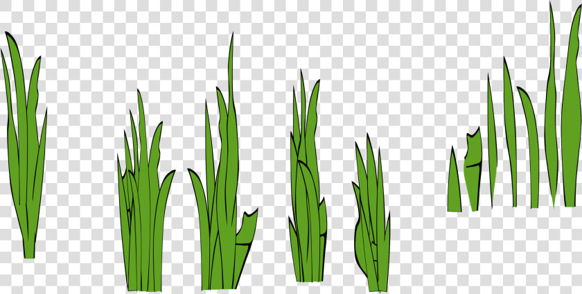 Grass Blades Png   Grass Clip Art  Transparent PngTransparent PNG