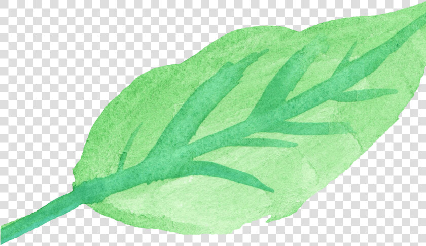 15 Watercolor Leaves Png For Free Download On Mbtskoudsalg  Transparent PngTransparent PNG