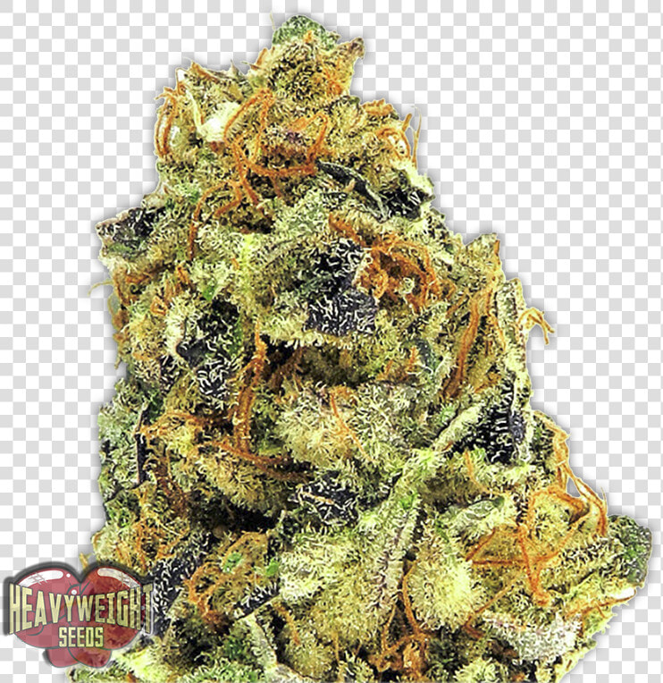 K   O Kush   24 Carat Kush  HD Png DownloadTransparent PNG