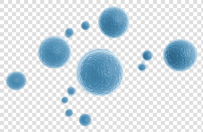 Thumb Image   Stem Cells Png  Transparent PngTransparent PNG