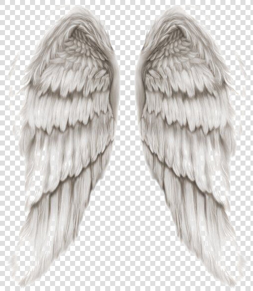 Angel Wings Png Transparent Image   Angels Of God Wings  Png DownloadTransparent PNG