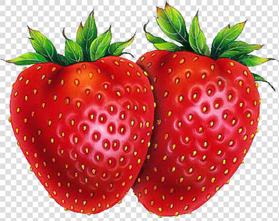 Strawberry Shortcake Drawing Fruit   Strawberries Drawings  HD Png DownloadTransparent PNG