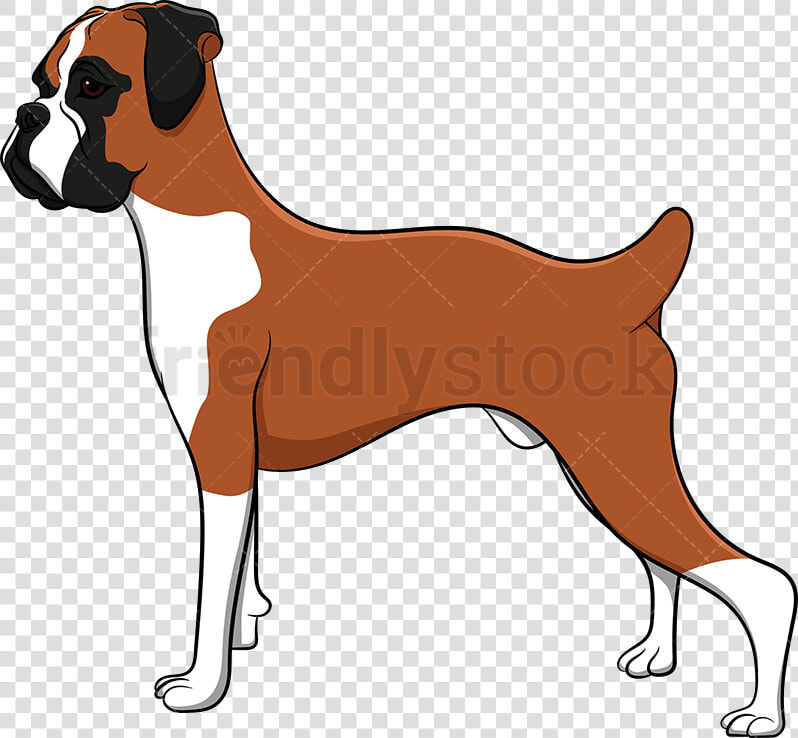 Dog Proud Boxer Vector Cartoon Clipart Transparent   Dog Boxer Clip Art  HD Png DownloadTransparent PNG