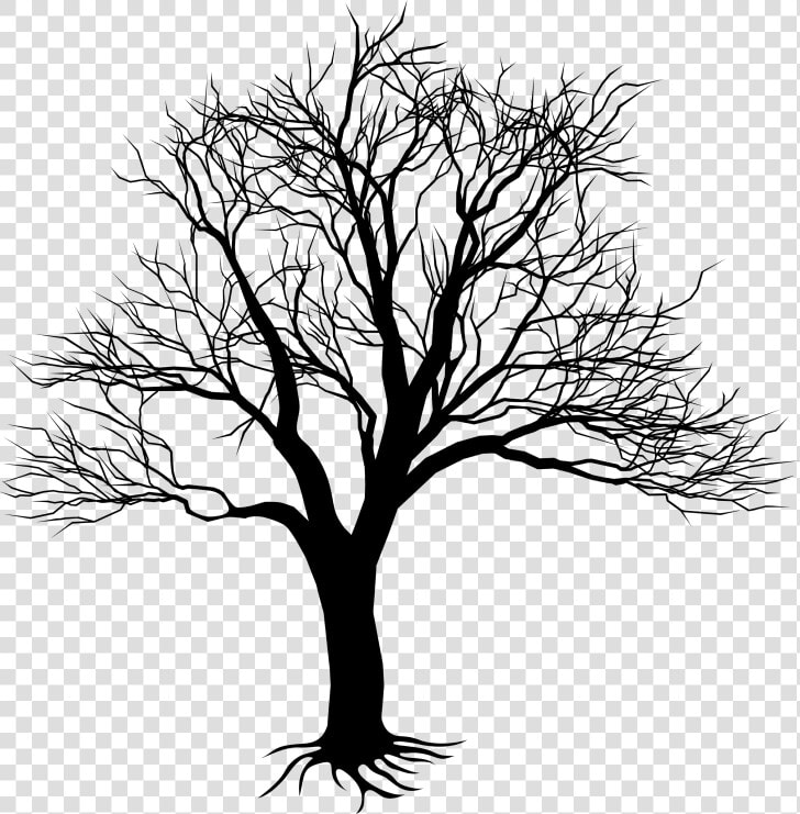 Kill A Mockingbird Tree  HD Png DownloadTransparent PNG