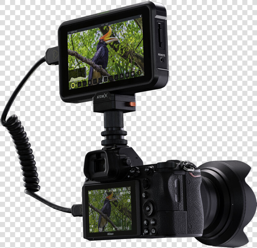 The Atomos Shinobi 5 Inch High Brightness Hdr Monitor   Atomos Shinobi 5 Inch Hdmi 4k Monitor  HD Png DownloadTransparent PNG