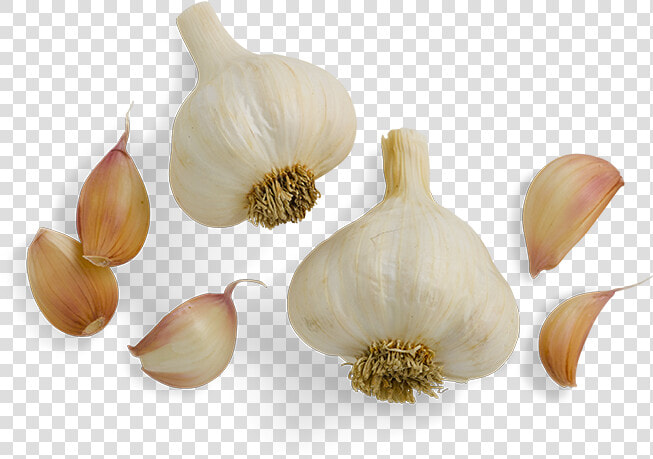 Garlic  Sweet Italian Sausage Vermont Smoke Cure   Garlic Clove No Background  HD Png DownloadTransparent PNG