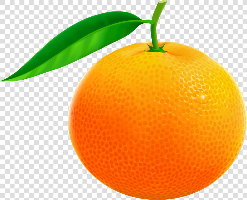 Orange Fruit Clipart   Orange Fruits Images Hd  HD Png DownloadTransparent PNG